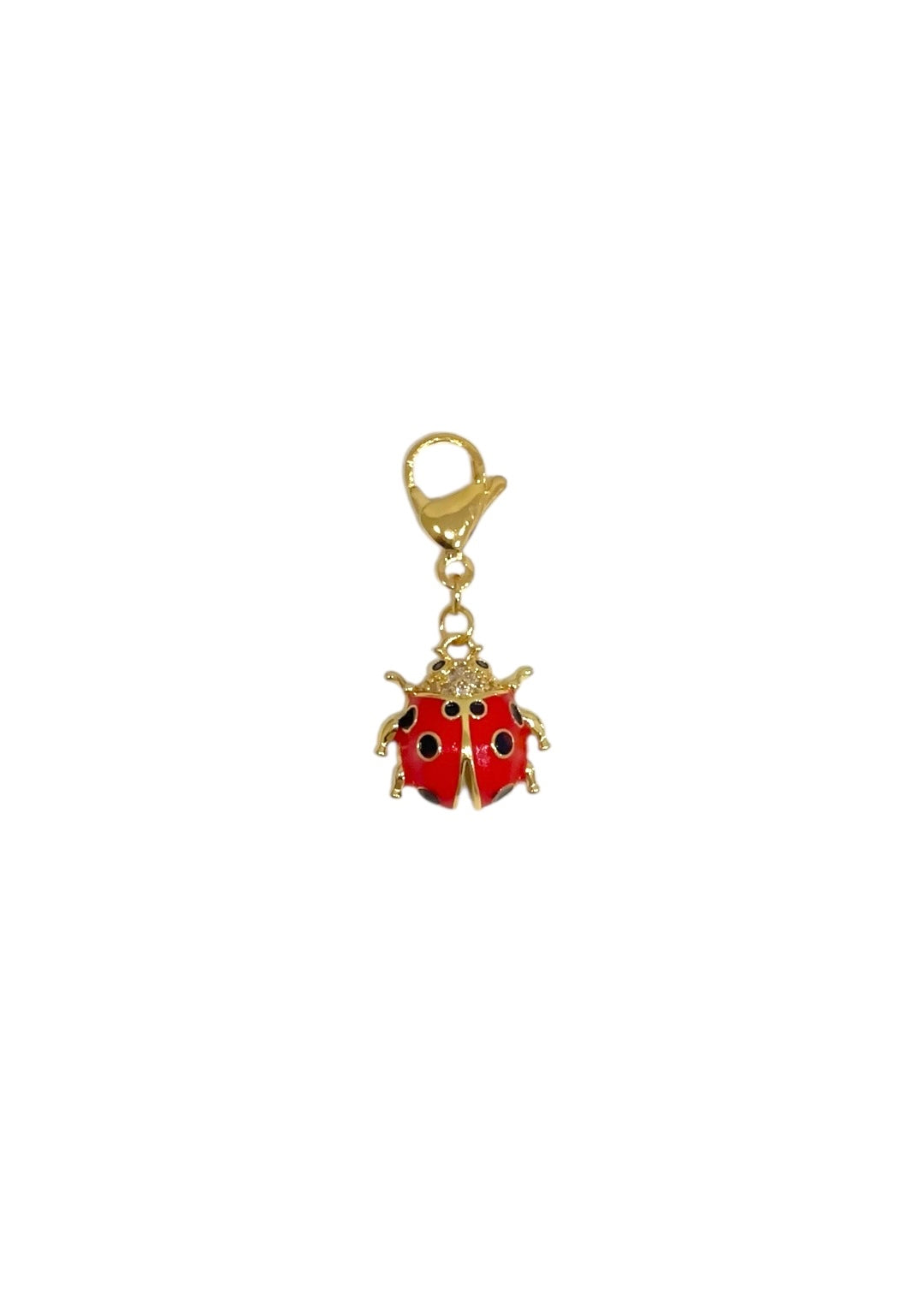 Charm Mini Mariquita
