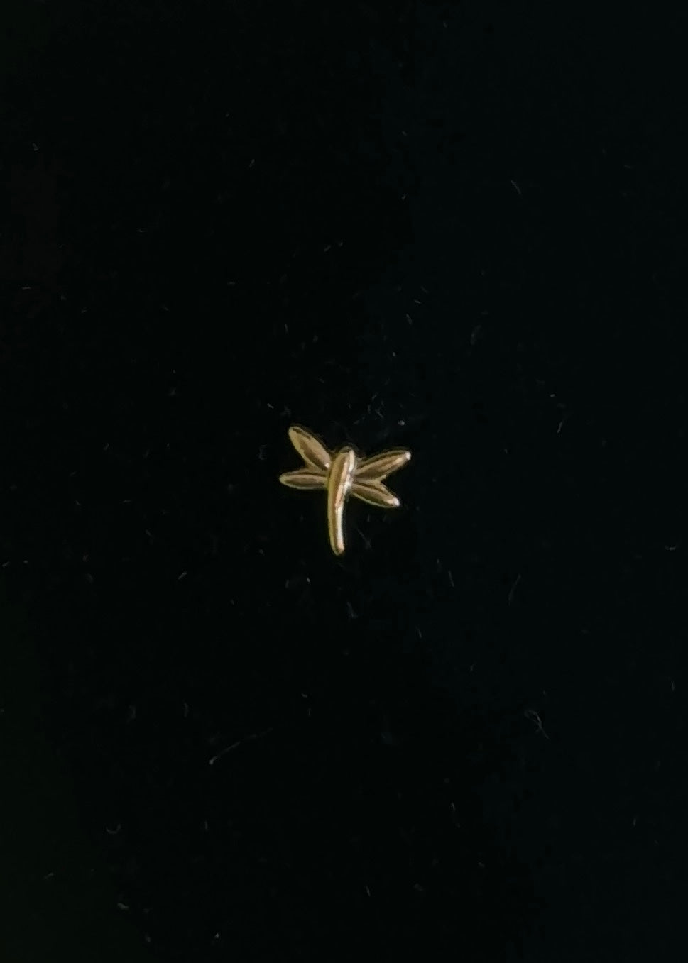Pendientes piercing libélula