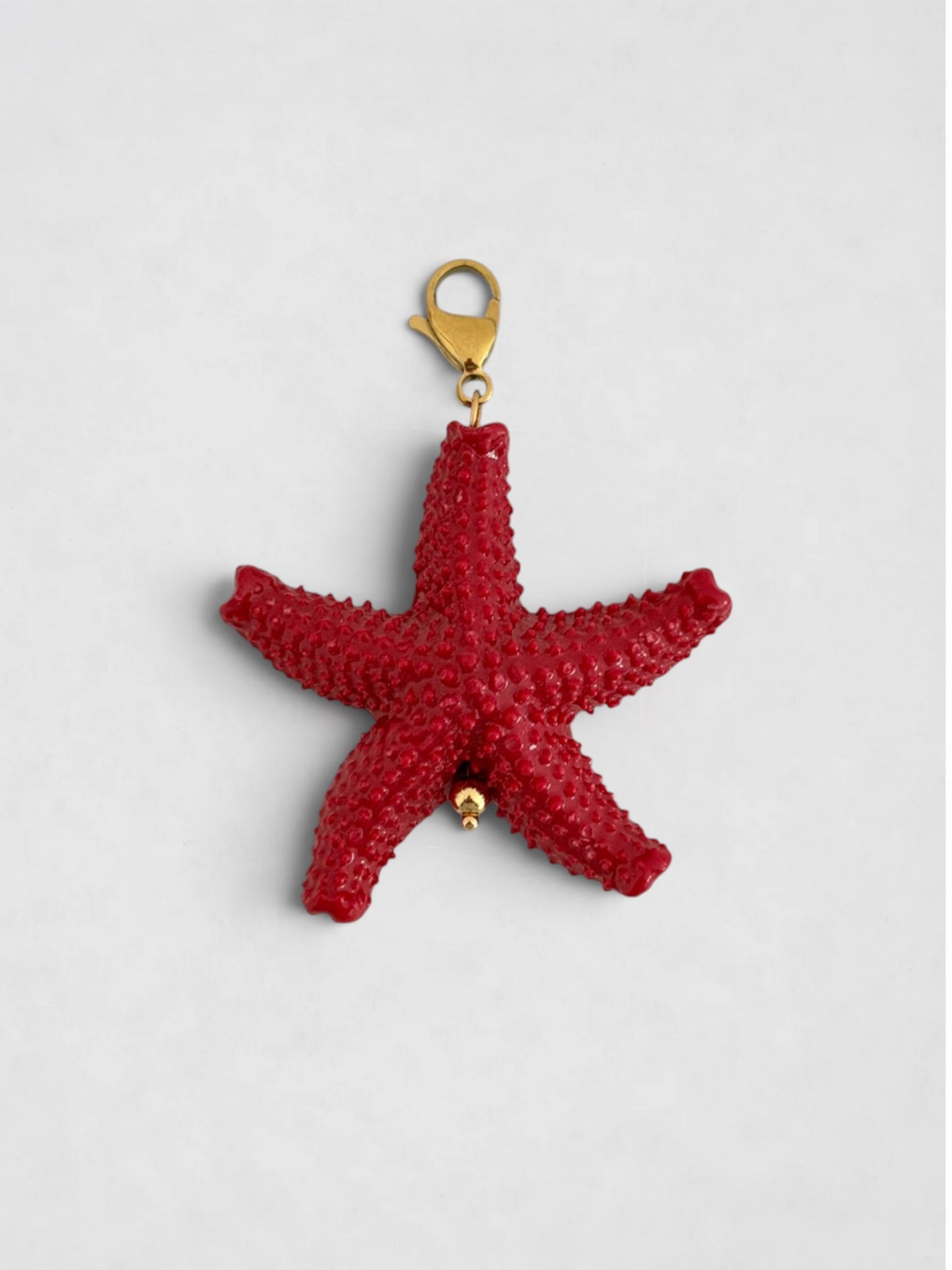 Charm Estrella de Mar Roja
