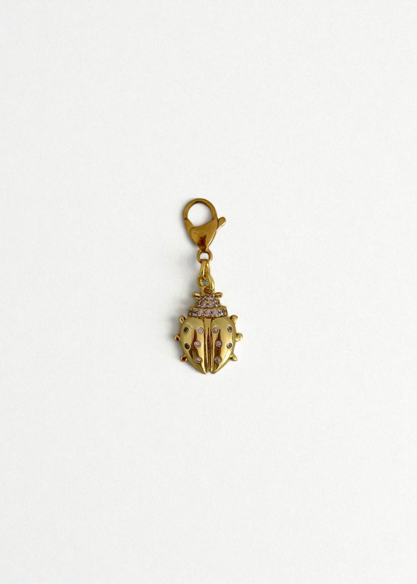 Charm mini escarabajo