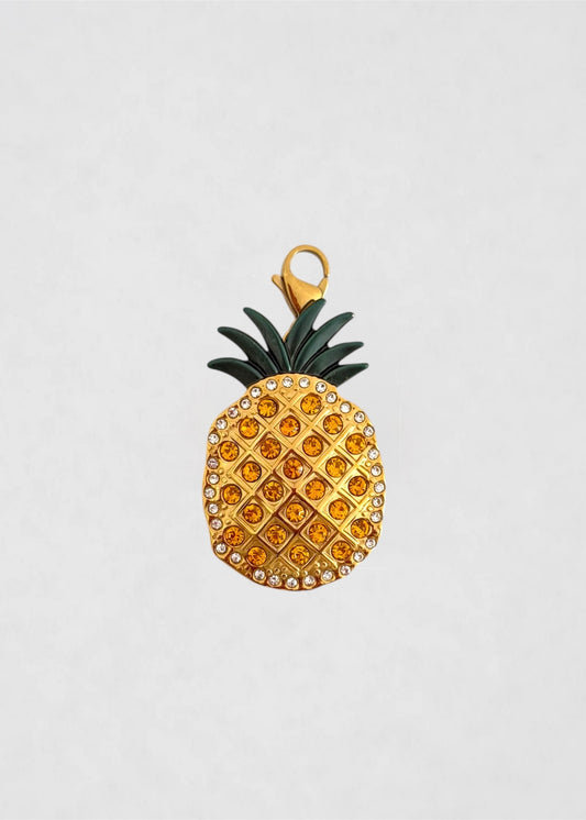 Charm Maxi Piña brillo