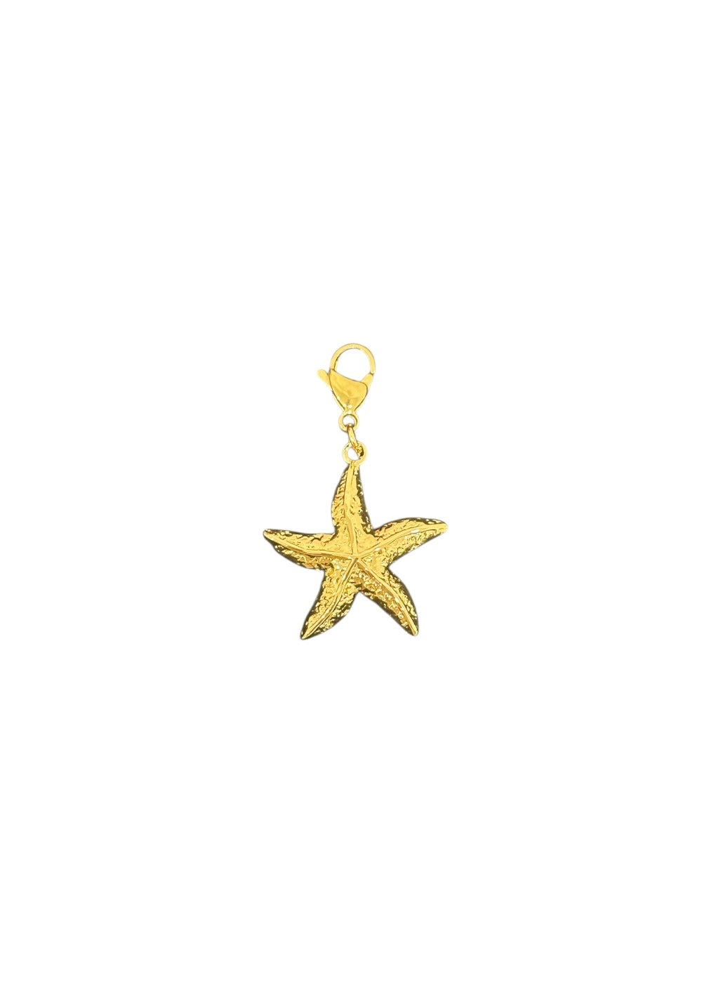 Charm Estrellita de Mar