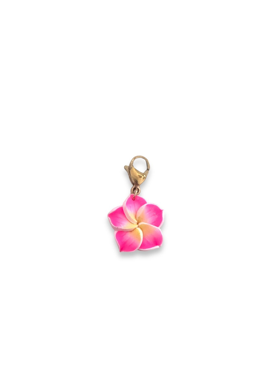 Charm Mini Flor Caribe Rosa